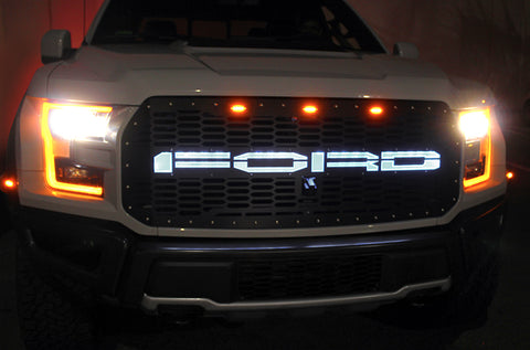 Ford, Raptor, SVT, Grilles, Truck Grilles, Truck, Grille, Grill, 300 Industries, Powder Coat, Aftermarket Accessories